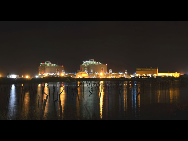 7. Kochi