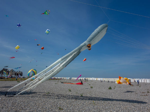 2. International Kite Flying Festival
