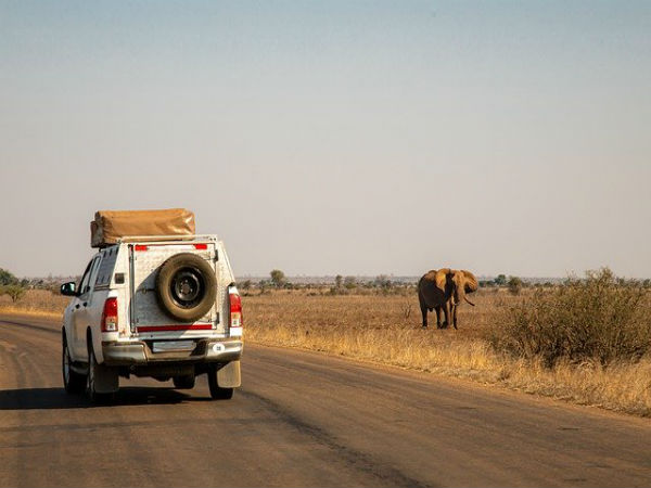 #8 Spend the day amid animals and wildlife