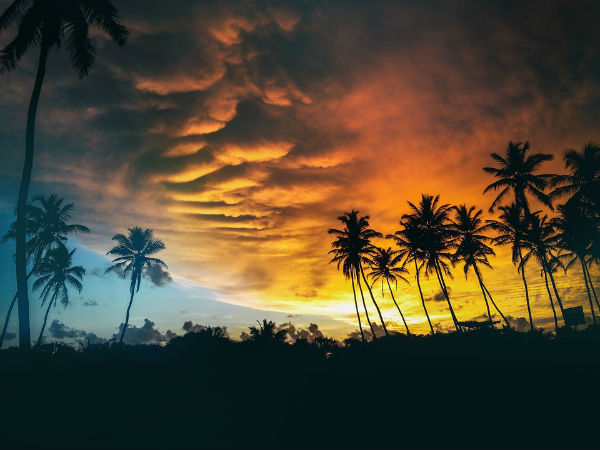 6. Getaways for nature lovers!