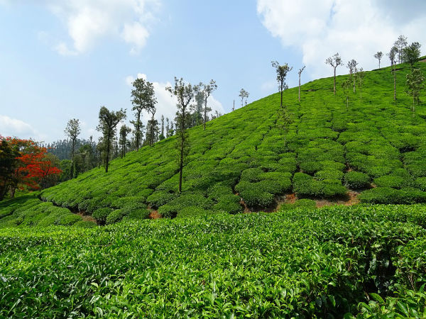 1. Chikmagalur