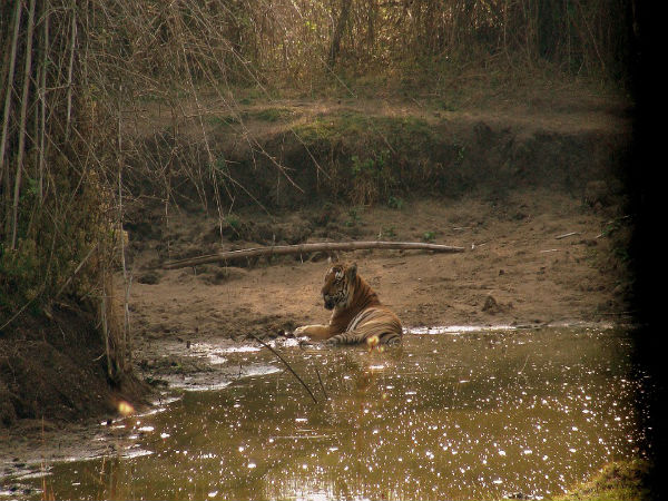 Nagarhole National Park