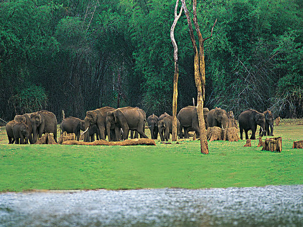 10. Thekkady
