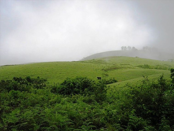 3. Vagamon