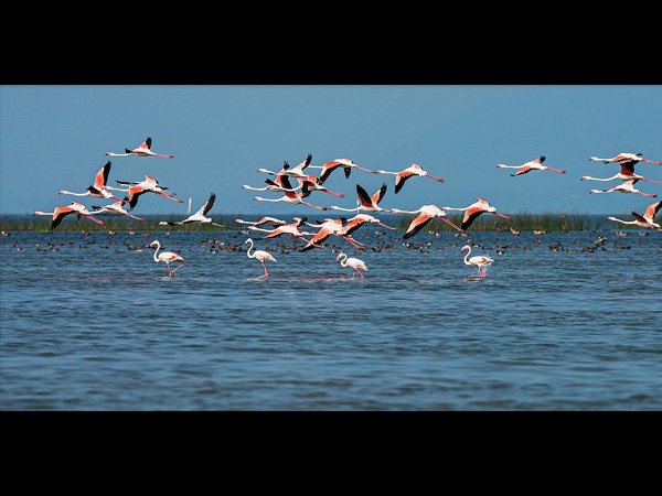 4. Chilika Lake