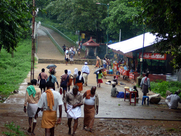 7. Pullumedu