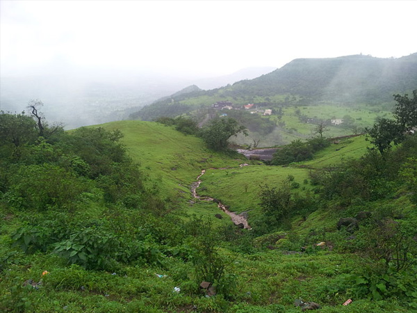8. Saputara