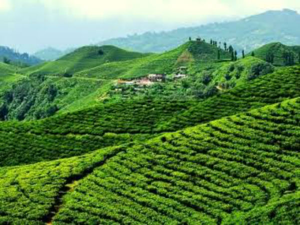 7. Jorhat, Assam