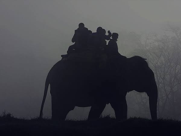 3. Kabini