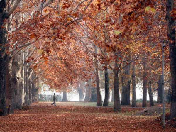 8. Kashmir valley