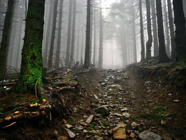 10. Kupwara