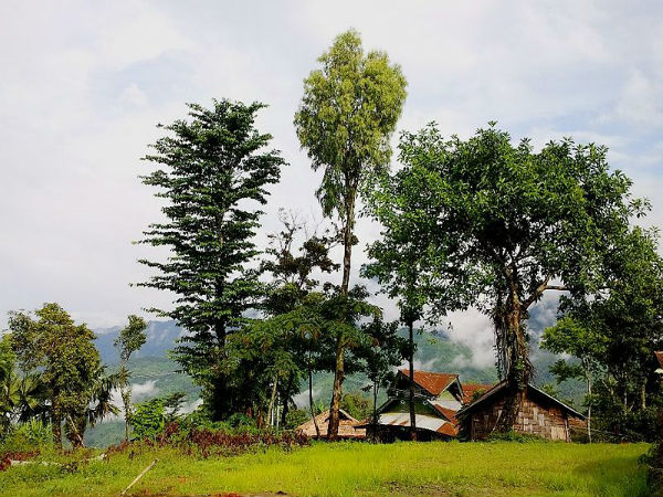 3. Mokokchung