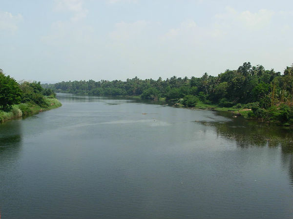 6. Pamba