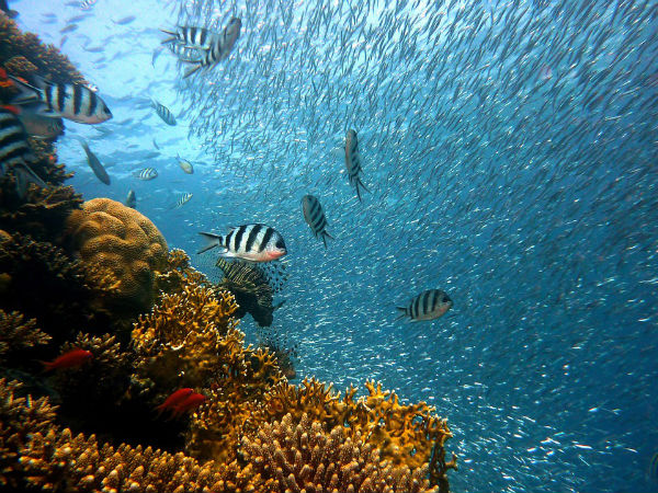 7. Havelock Island, Andaman Islands