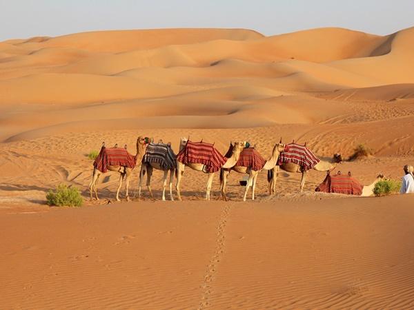 8. Jaisalmer Desert Festival