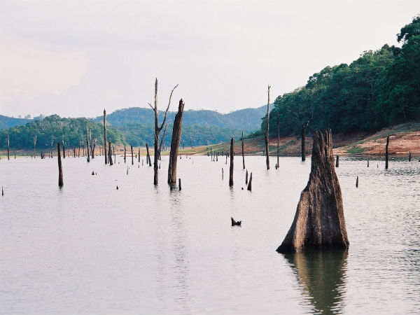 2. Thekkady