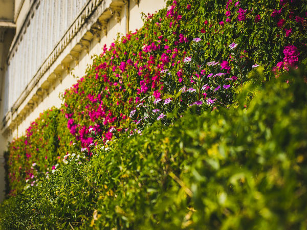 5. Instead Of Jaipur - Udaipur