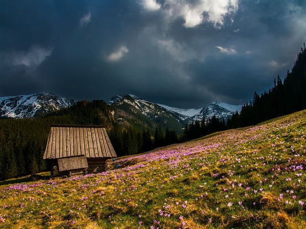 2. Valley Of Flowers, Uttarakhand