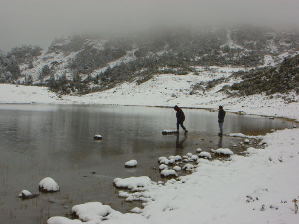 Tawang