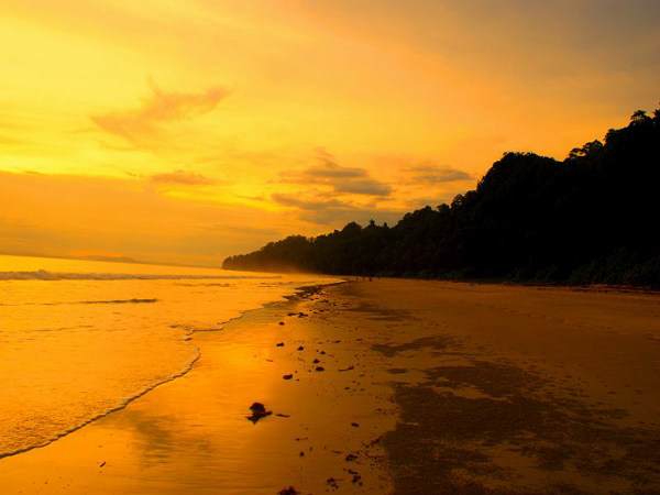 Butler Bay Beach