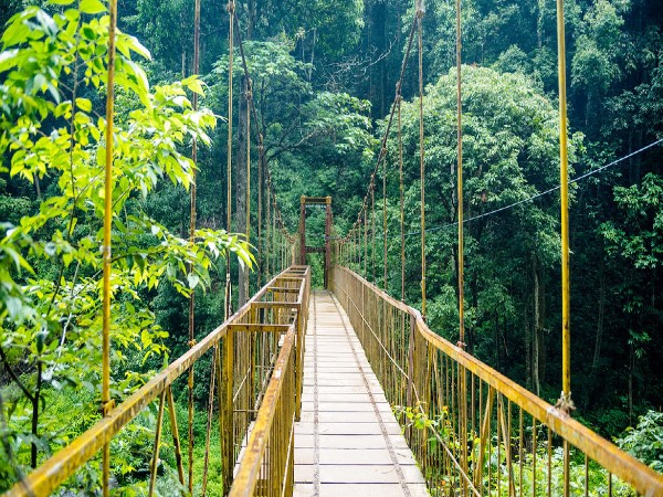 7. Coorg