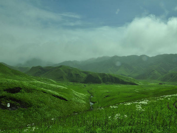 6. Dzukou Valley