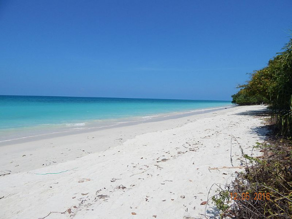 Elephant Beach