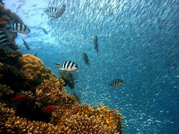 6. Andaman and Nicobar Islands