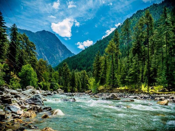 8. Kasol