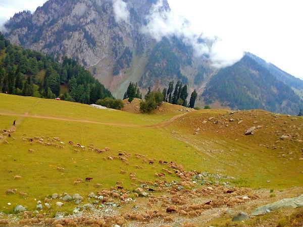 9. Kishtwar