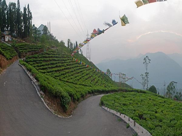 Kurseong, North Bengal