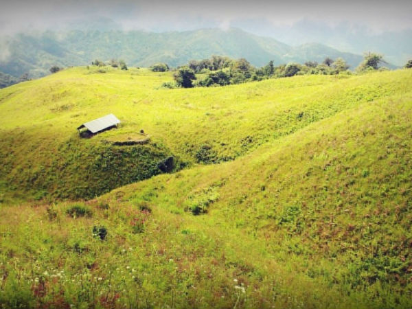 10. Tuensang