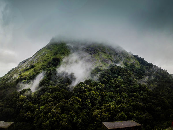 2. Nelliyampathy