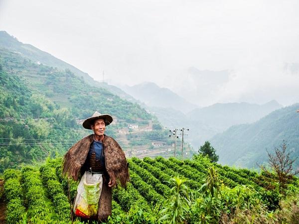 10. Kurseong, West Bengal
