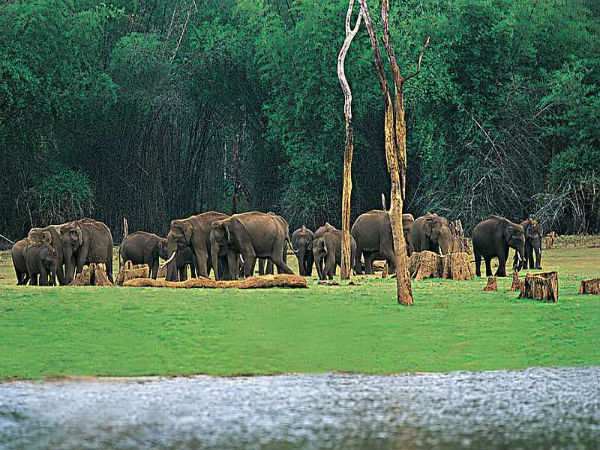 10. Thekkady