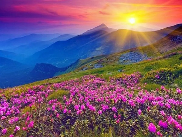 10. Valley Of Flowers