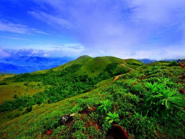 3. Coorg