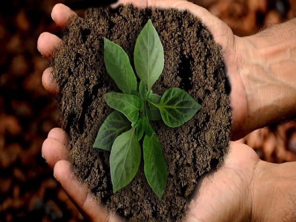 Heightened Sustainability Is A Possible Outcome