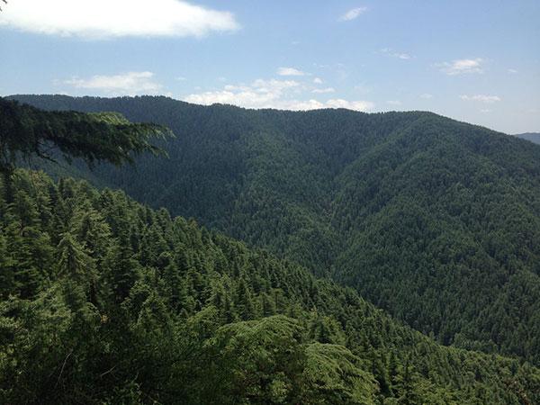 7. Mukteshwar