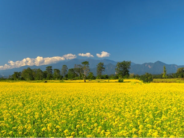 1. Guwahati