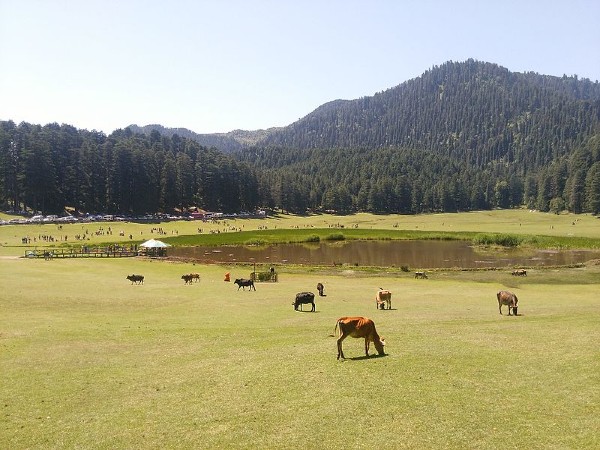 7. Khajjiar