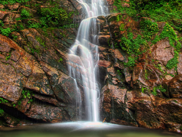 5. Pelling