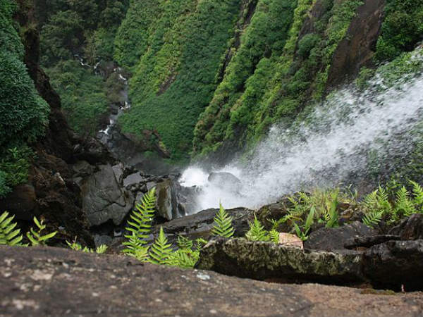 8. Agumbe