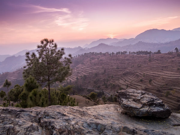 10. Almora