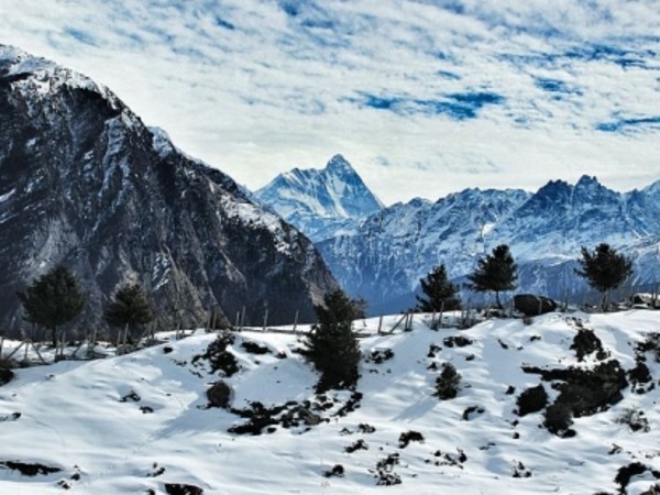 2. Auli