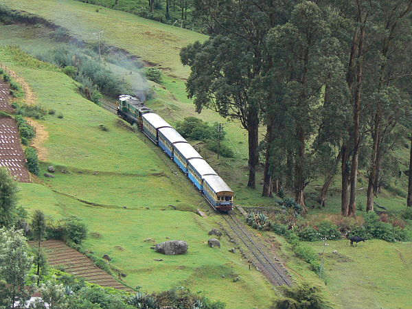 3. Coonoor