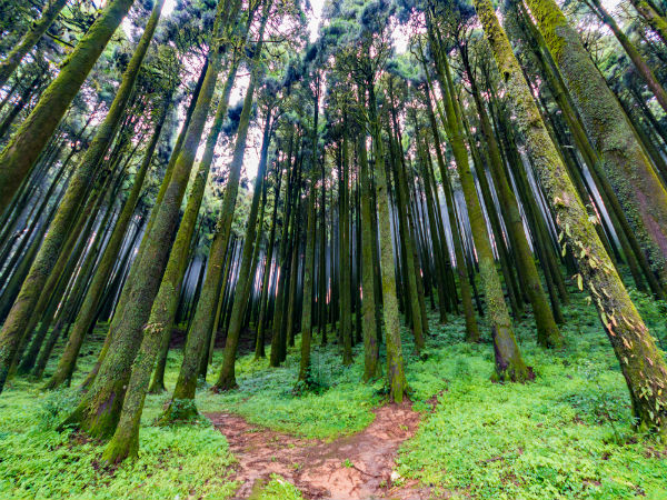 4. Darjeeling, West Bengal