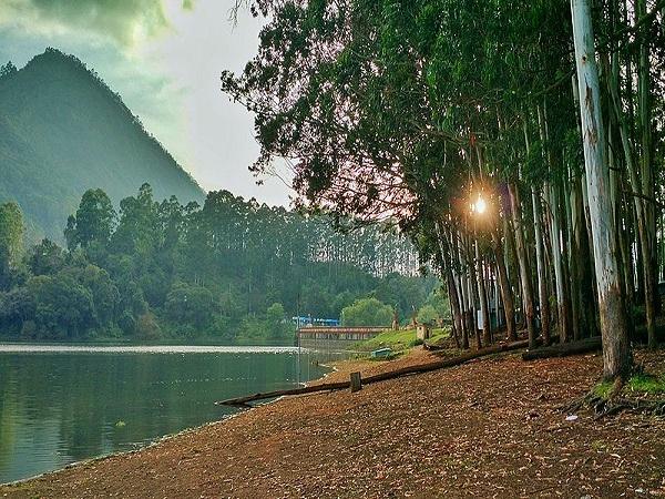 9. Devikulam