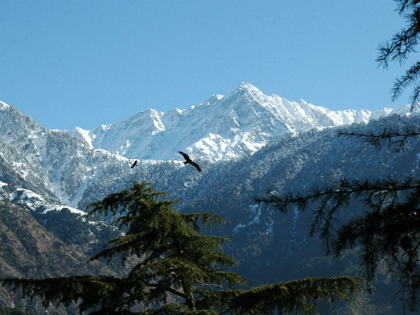 9. Dharamshala