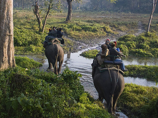 6. Thenmala Eco-tourism Village